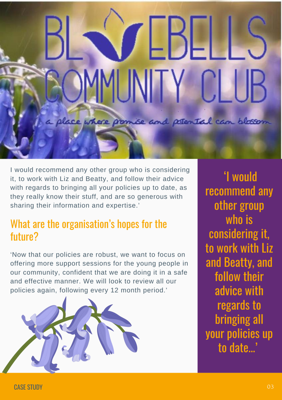 Bluebell case study - page 3