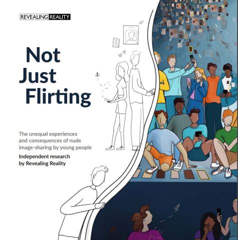 Not Just Flirting report - links to report