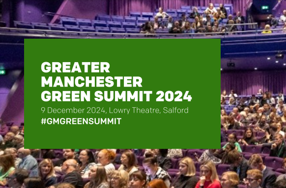 Green Summit image