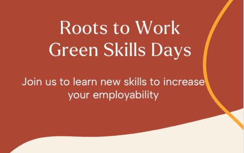 Roots to work image